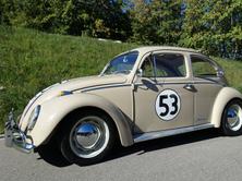 VW Käfer Herbie 53 Edition mit Faltdach, Benzin, Occasion / Gebraucht, Handschaltung - 2