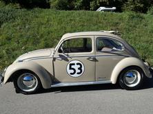 VW Käfer Herbie 53 Edition mit Faltdach, Benzin, Occasion / Gebraucht, Handschaltung - 6