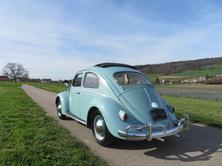 VW Käfer De Luxe, Essence, Voiture de collection, Manuelle - 2