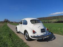 VW Käfer 1300, Essence, Voiture de collection, Manuelle - 2