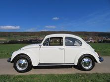 VW Käfer 1300, Essence, Voiture de collection, Manuelle - 3