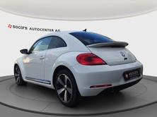 VW New Beetle 1.4 TSI Sport, Benzina, Occasioni / Usate, Manuale - 4