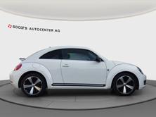 VW New Beetle 1.4 TSI Sport, Benzina, Occasioni / Usate, Manuale - 6