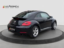 VW New Beetle 2.0 TSI Sport DSG, Essence, Occasion / Utilisé, Automatique - 5