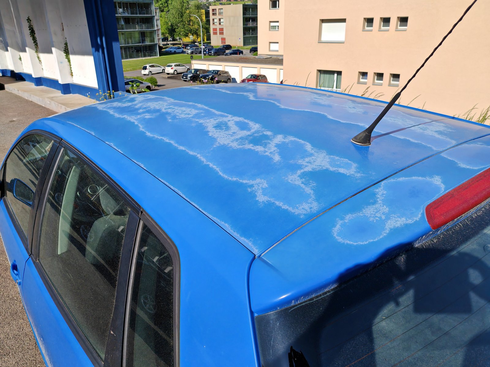 VW Polo 1.6 16V YoungFresh, Essence, Occasion / Utilisé, Manuelle - 7