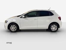 VW Polo Trendline, Petrol, Second hand / Used, Manual - 2