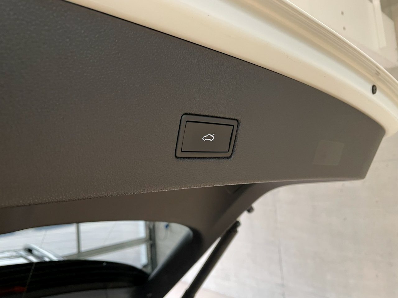 VW T-Roc PA R-Line, Benzina, Occasioni / Usate, Automatico - 7