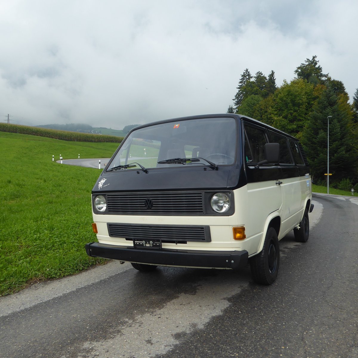 VW T3
