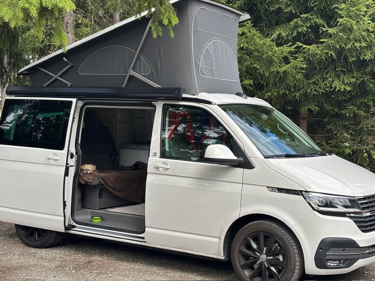 VW T6.1 California 2.0 TDI Ocean Liberty 4Motion DSG, Diesel, Occasion / Utilisé, Automatique - 3