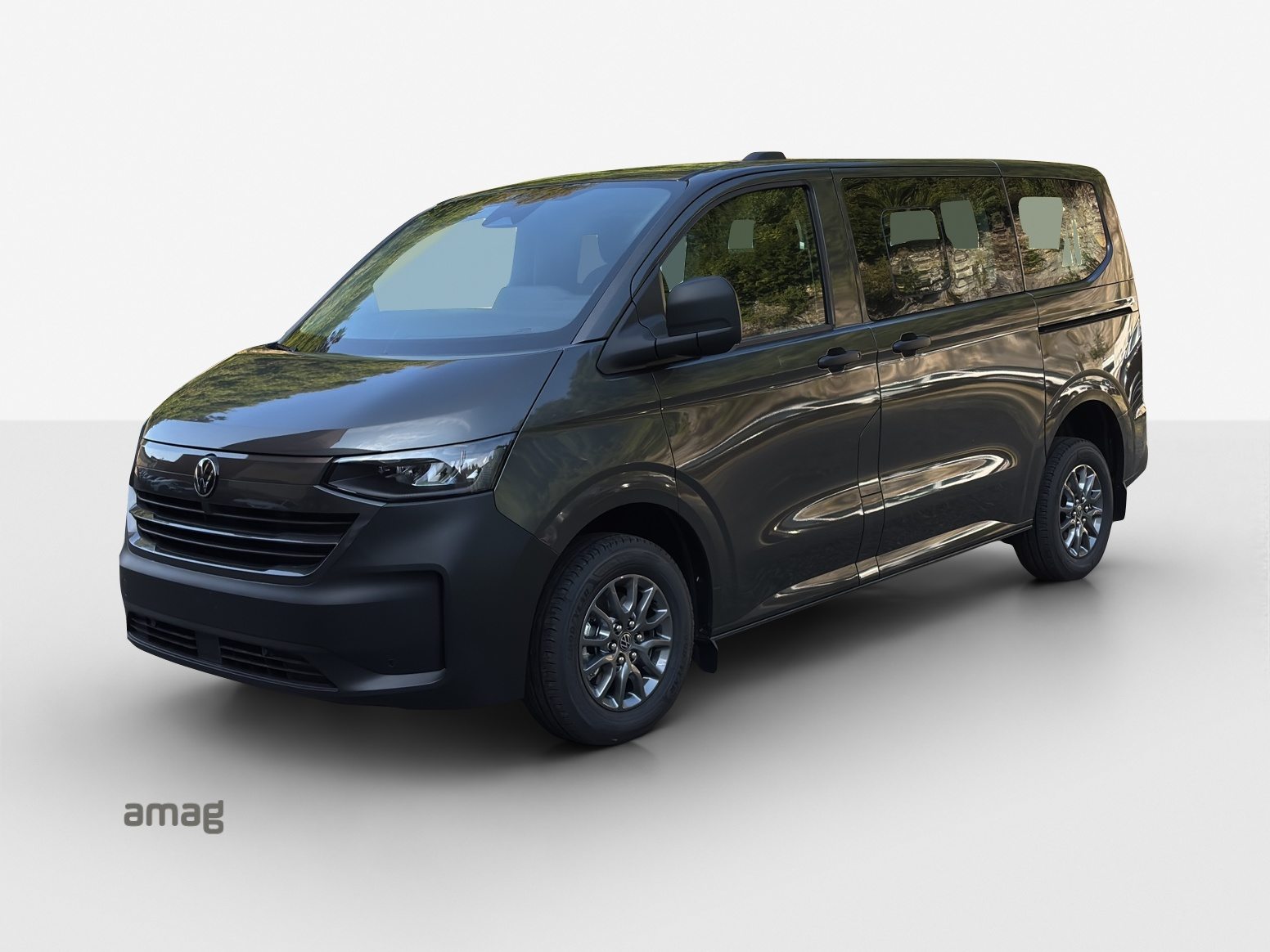 VW Caravelle Basis RS 3100mm