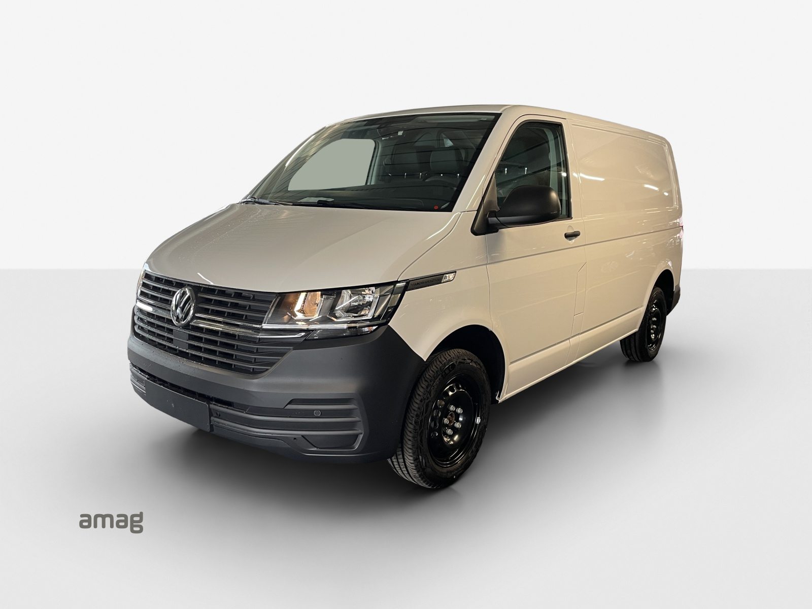 VW Transporter 6.1 Kastenwagen Entry RS 3000 mm