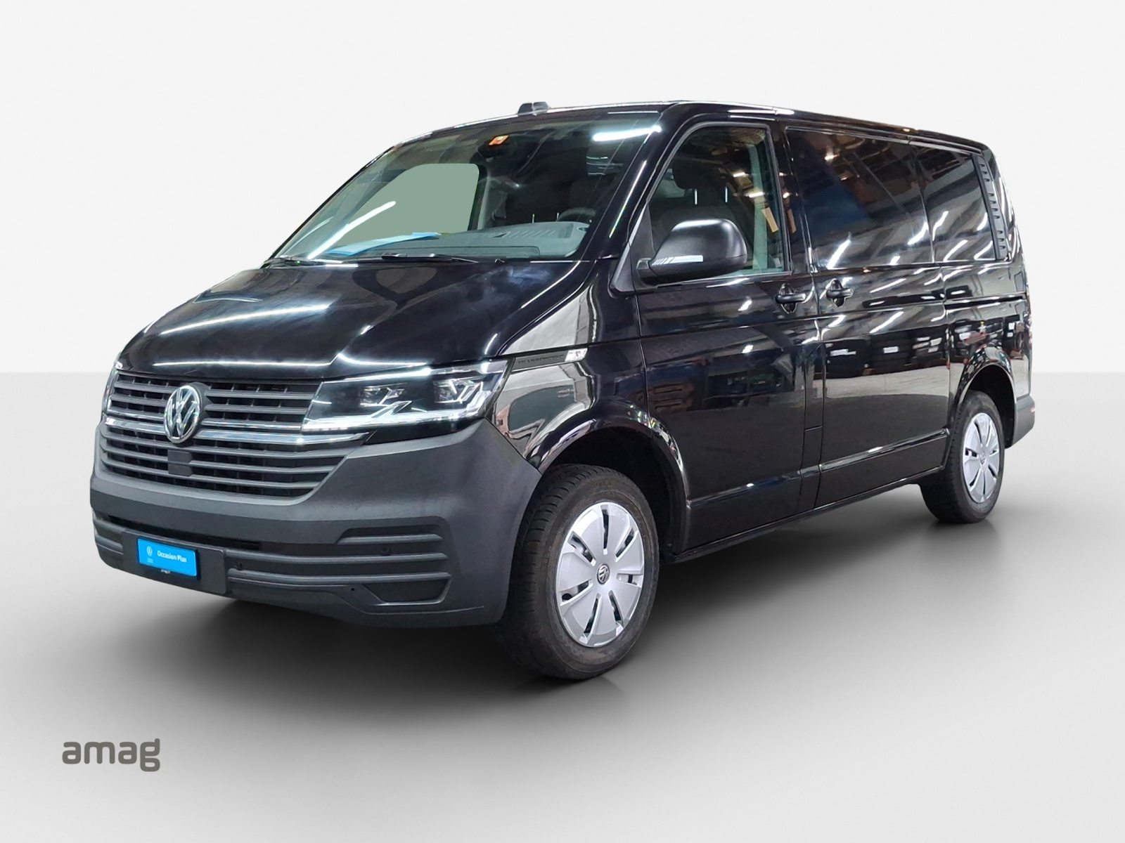 VW T6 Kastenwagen