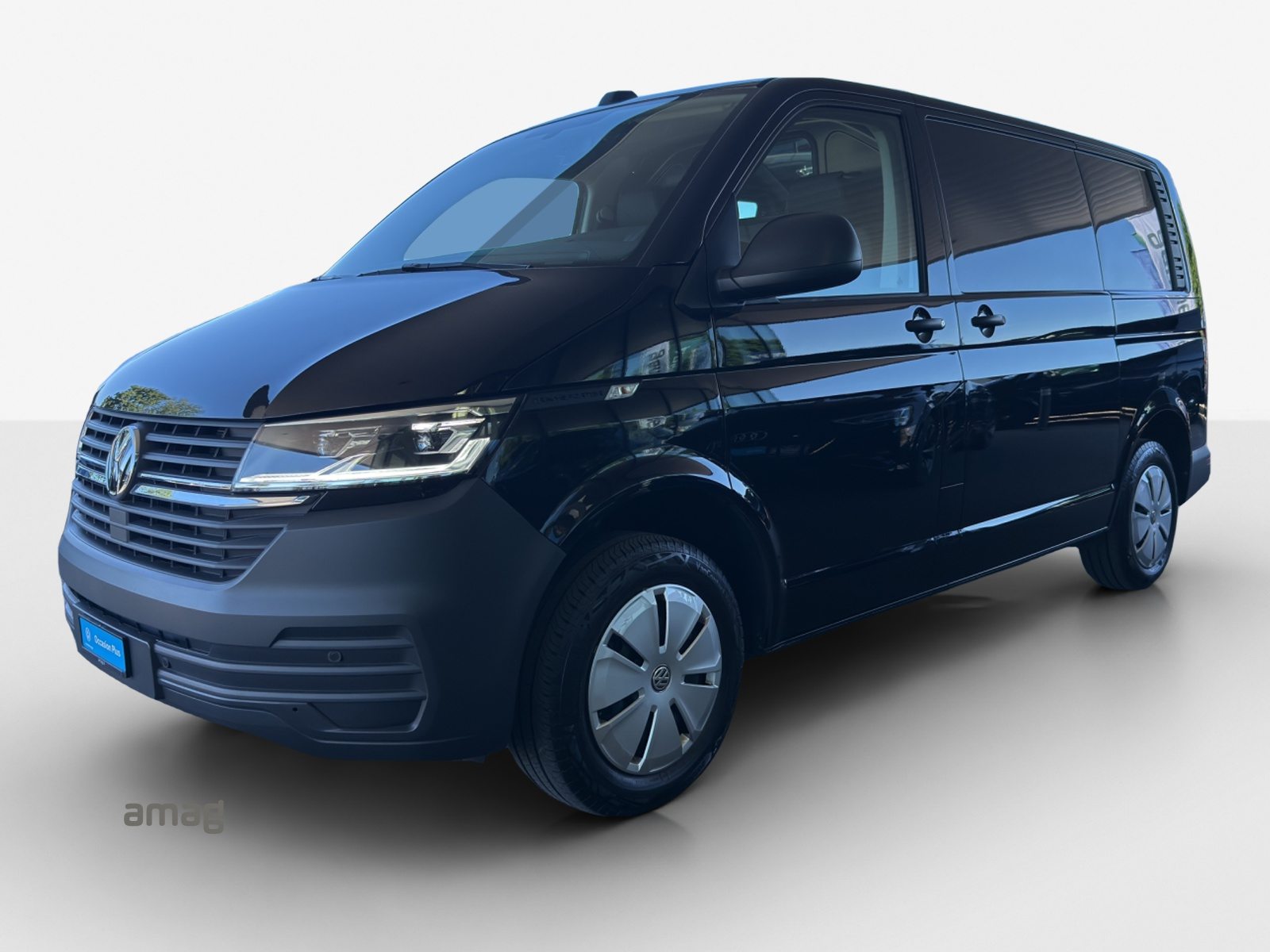 VW T6 Kastenwagen