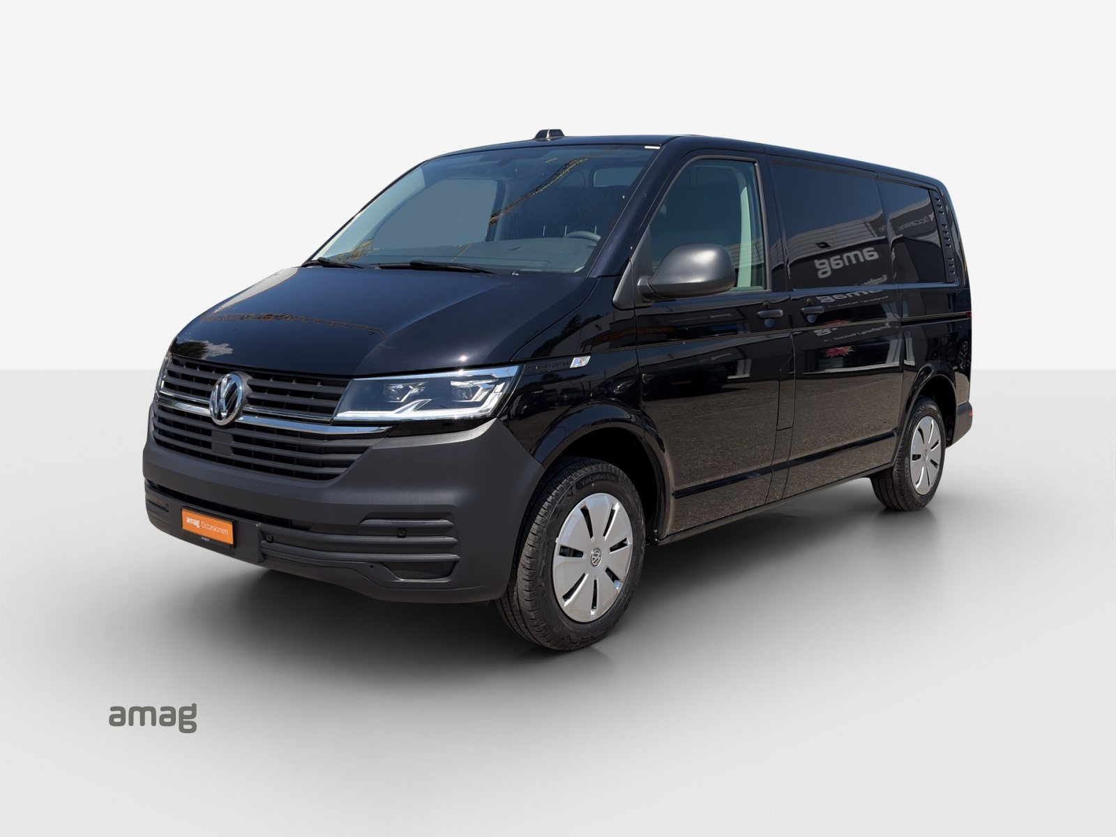 VW T6 Kastenwagen