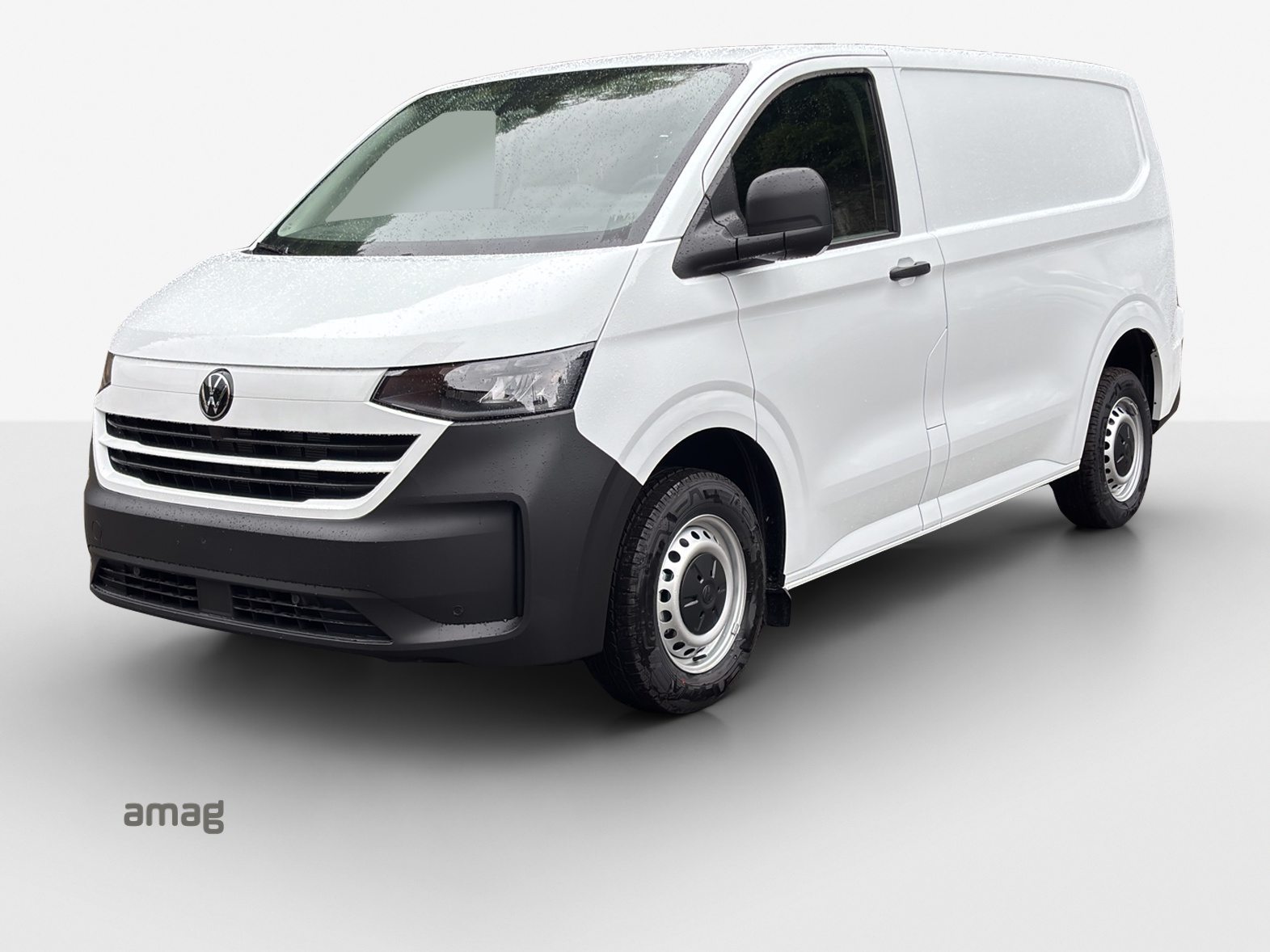 VW Transporter Kastenwagen RS 3100mm