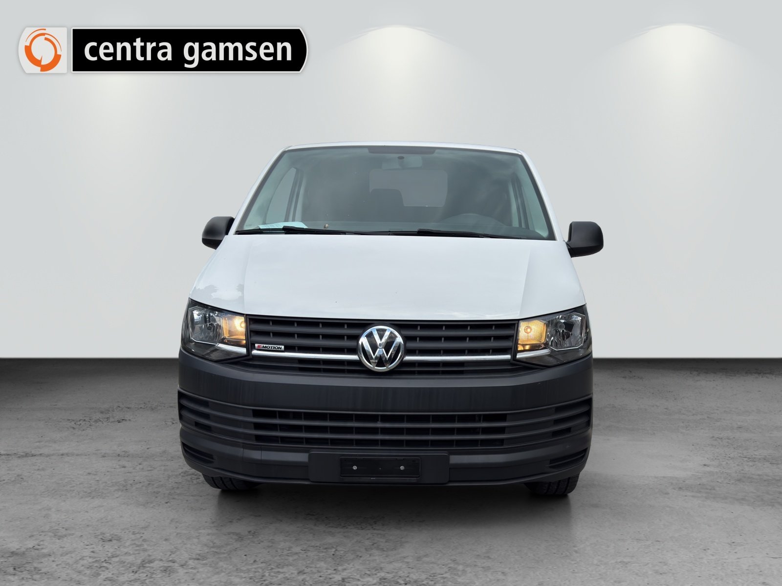 VW T6 2.0 TDI 4Motion, Diesel, Occasion / Utilisé, Manuelle - 2