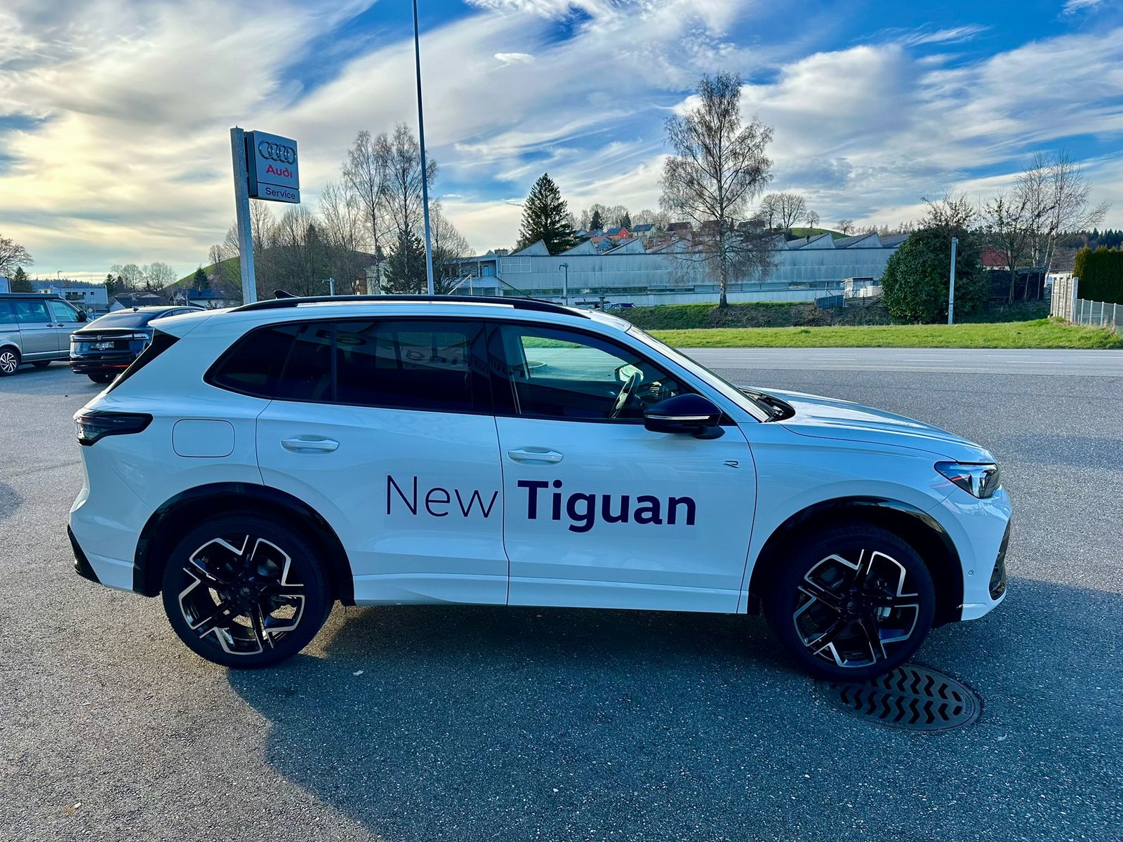 VW Tiguan 2.0 TDI SCR R-Line 4Motion DSG, Diesel, Occasion / Utilisé, Automatique - 6