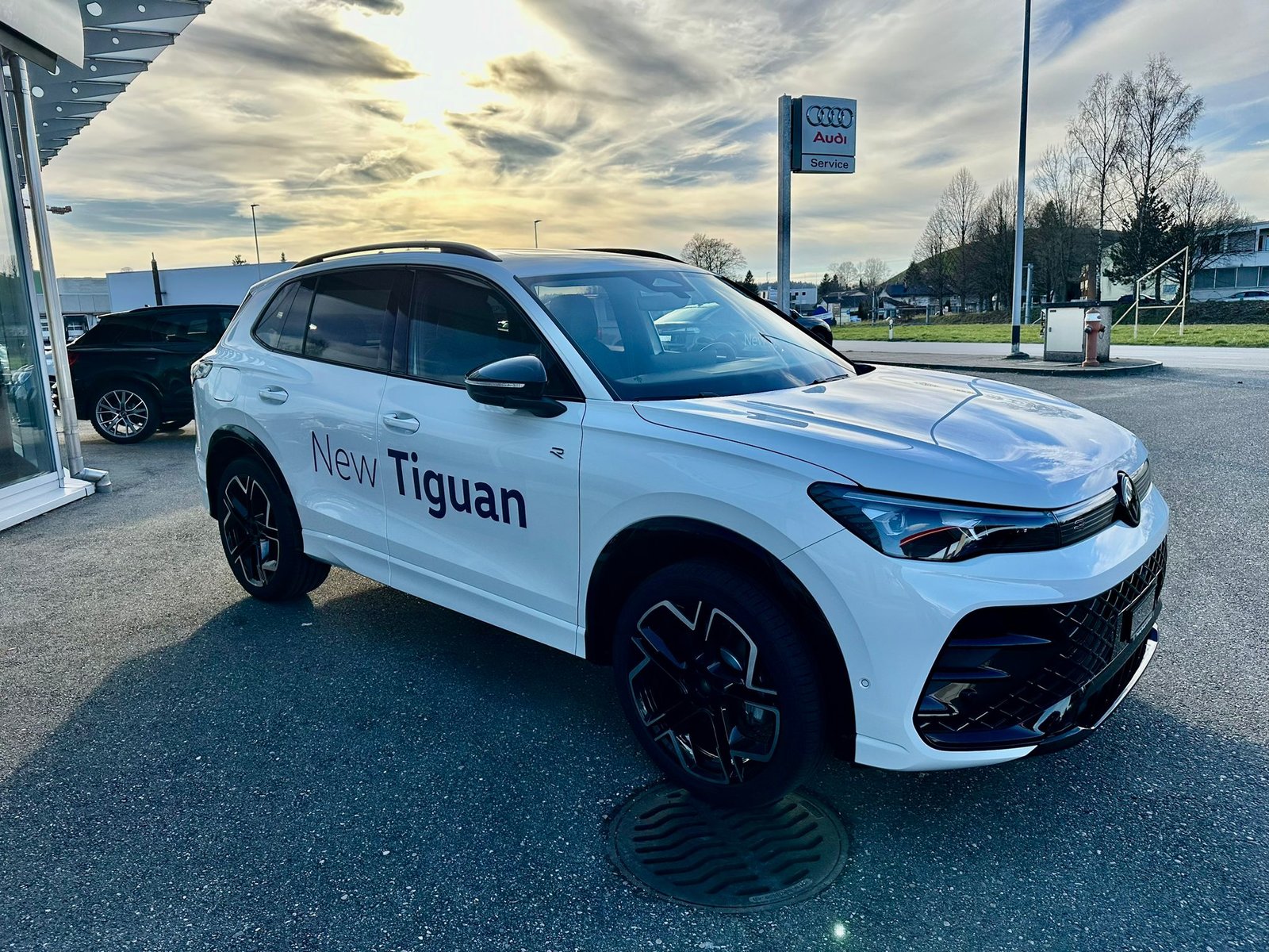 VW Tiguan 2.0 TDI SCR R-Line 4Motion DSG, Diesel, Occasion / Utilisé, Automatique - 7