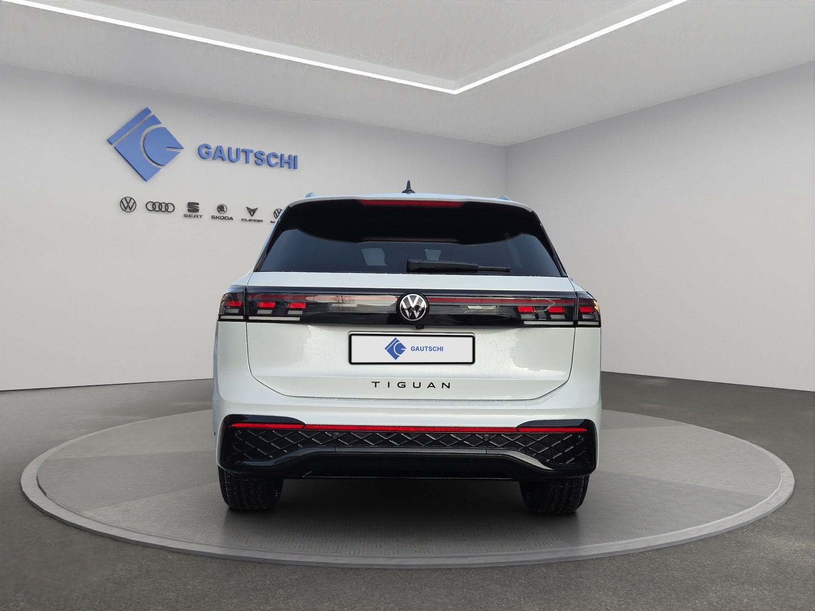 VW Tiguan 2.0 TSI DSG R-Line 4Motion, Essence, Occasion / Utilisé, Automatique - 4