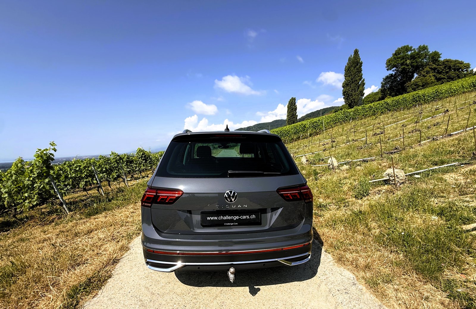VW Tiguan 2.0 TDI SCR Elegance 4Motion DSG, Diesel, Second hand / Used, Automatic - 7