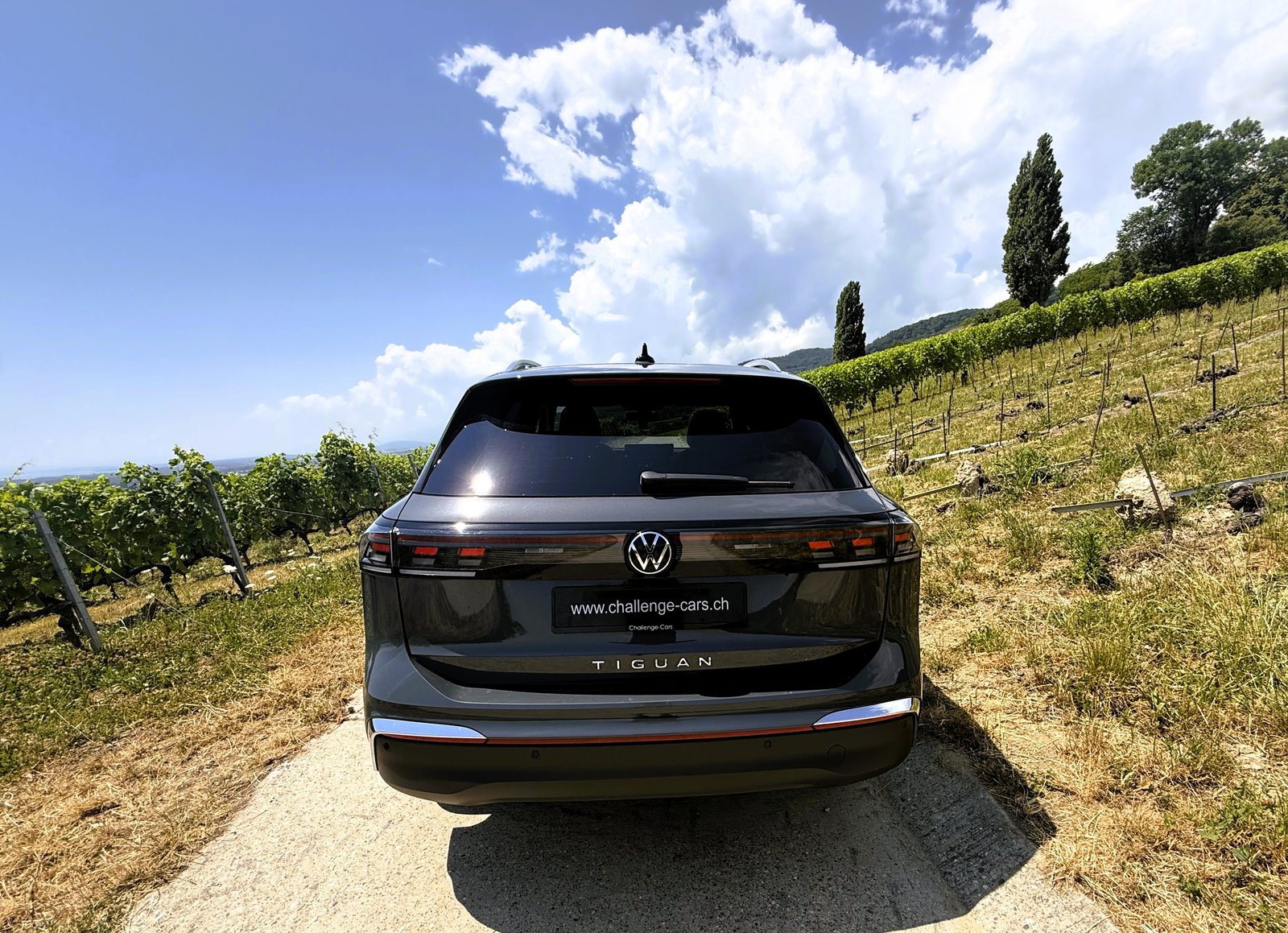 VW Tiguan 2.0 TDI SCR Elegance 4Motion DSG, Diesel, Second hand / Used, Automatic - 4
