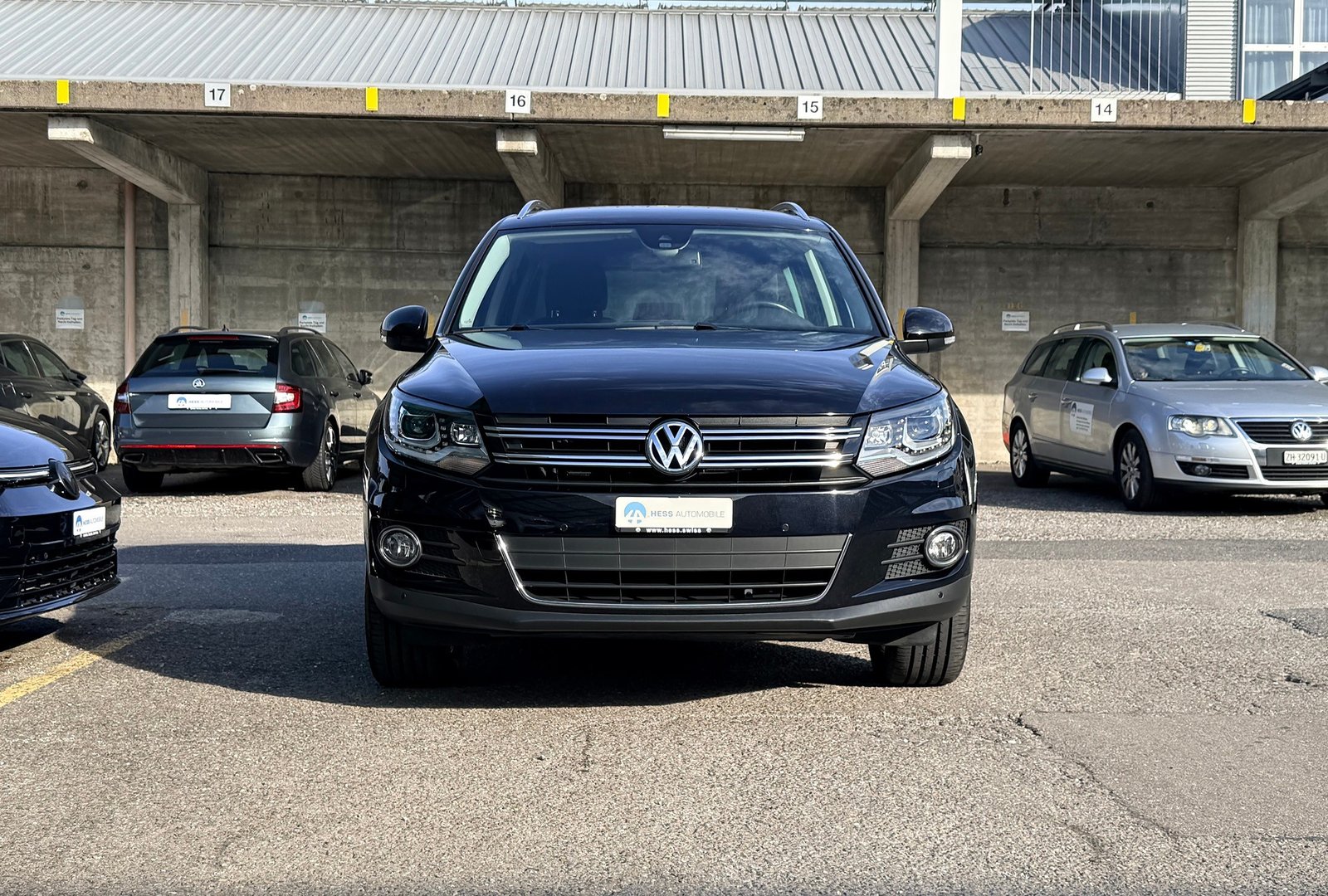 VW Tiguan 2.0 TDI Lounge 4Motion DSG Automat, Diesel, Occasion / Utilisé, Automatique - 2