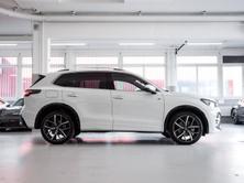 VW Tiguan 2.0 TSI R-Line DSG 4motion, Benzina, Occasioni / Usate, Automatico - 4