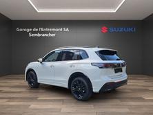 VW 2.0 TSI R-Line DSG 4motion, Benzina, Auto dimostrativa, Automatico - 4