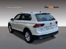 VW Tiguan Highline, Essence, Occasion / Utilisé, Automatique - 6