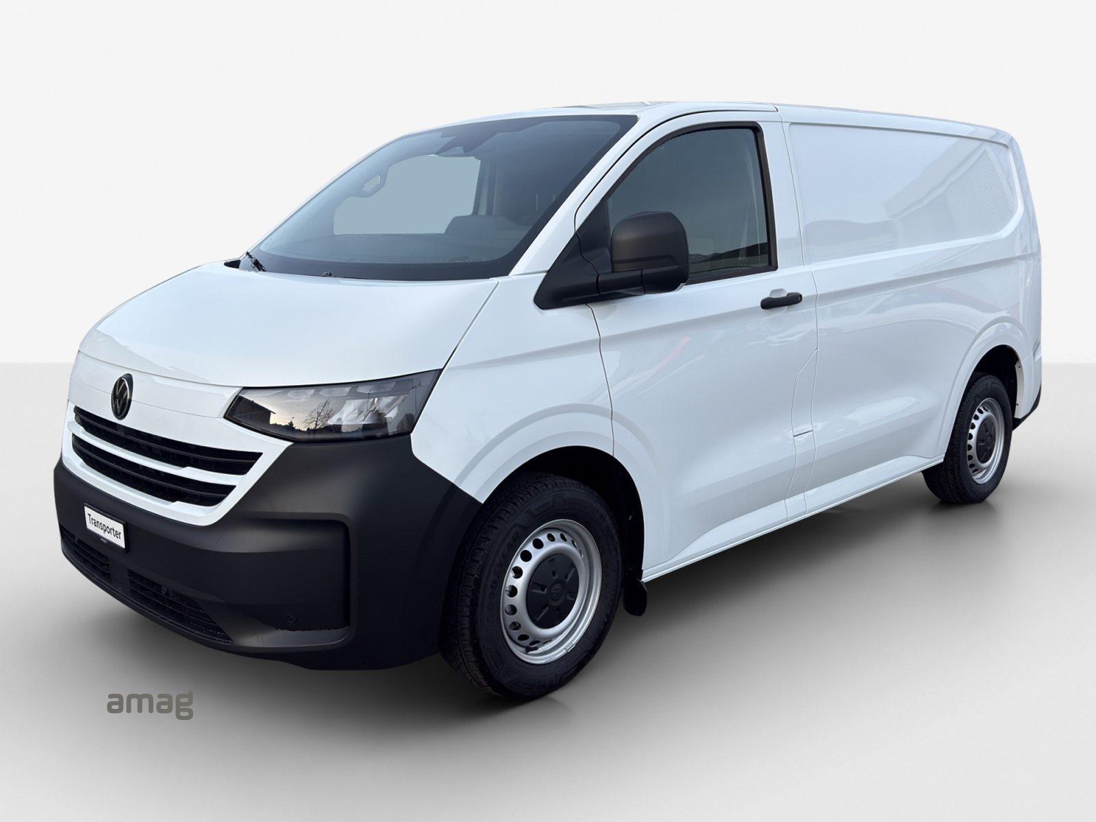 VW Transporter Kastenwagen RS 3100mm