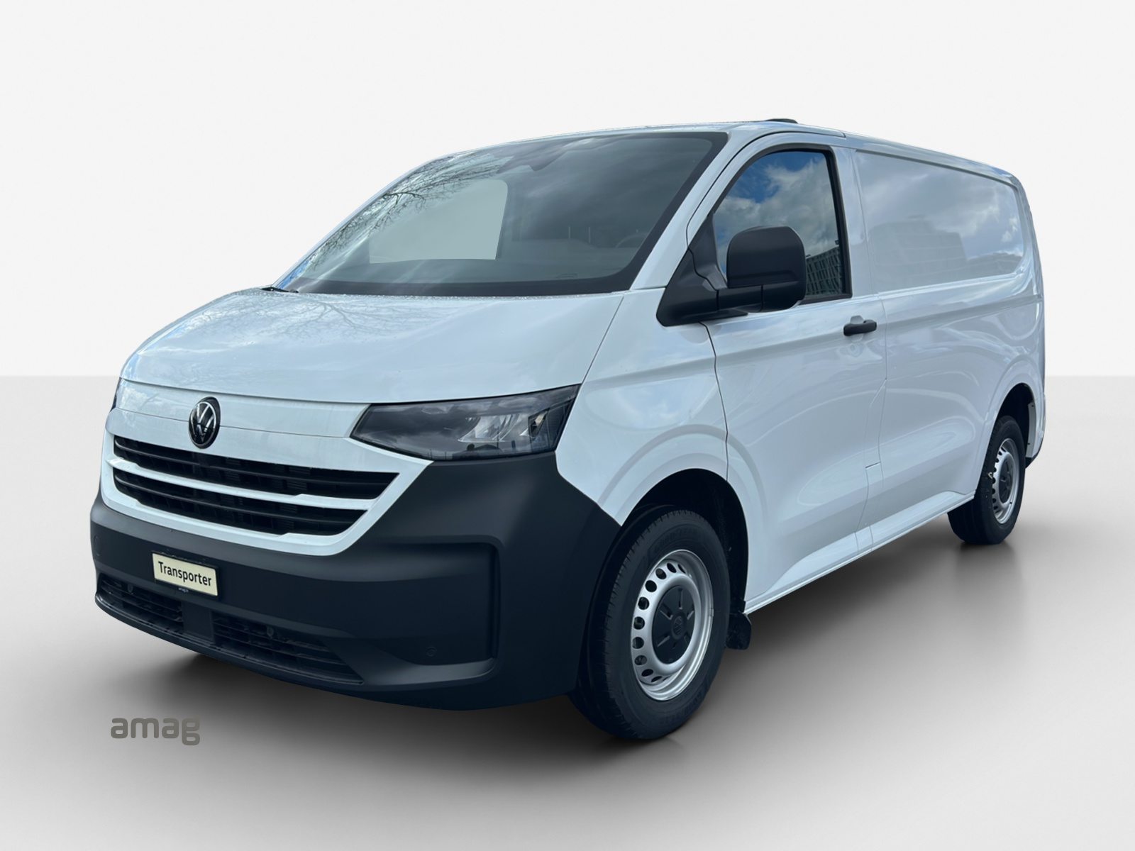 VW Transporter Kastenwagen RS 3100mm