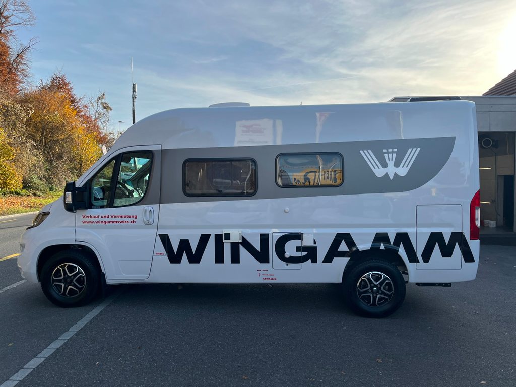 WINGAMM City Pro, Diesel, Ex-demonstrator, Automatic - 2