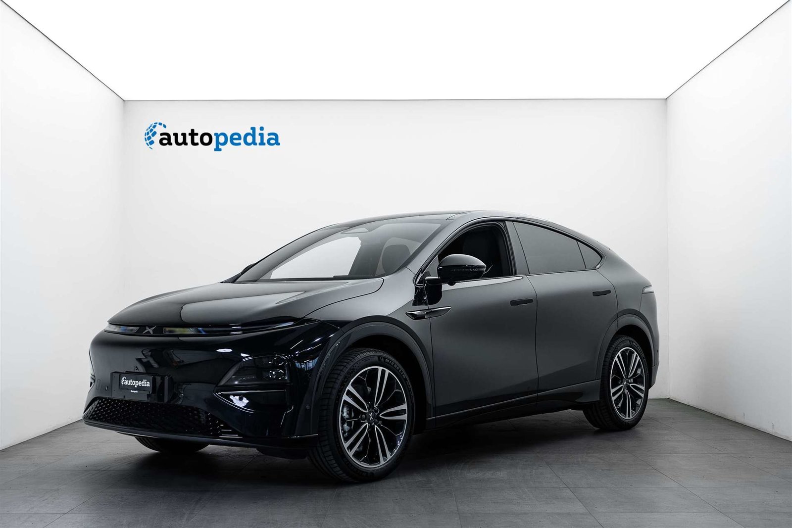 Xpeng G6 87,5kWh Performance AWD 476PS NEW
