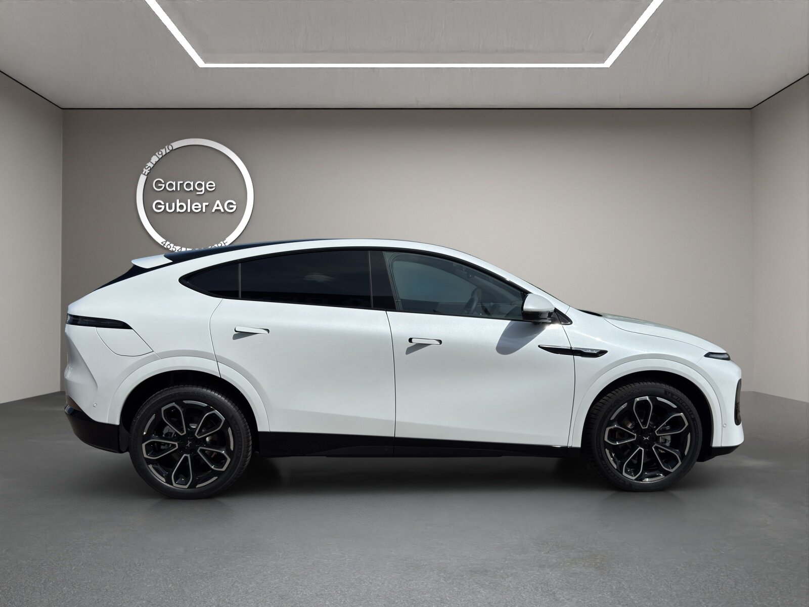 Xpeng G6 Performance AWD, Elettrica, Auto nuove, Automatico - 3