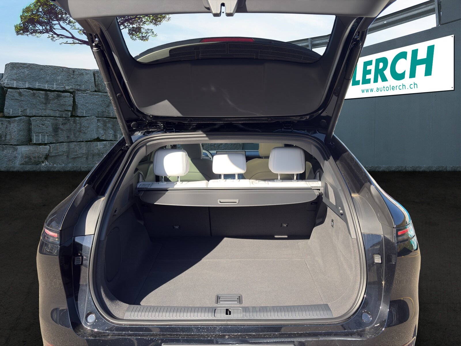 Xpeng G6 80kWh Performance AWD, Elettrica, Occasioni / Usate, Automatico - 6