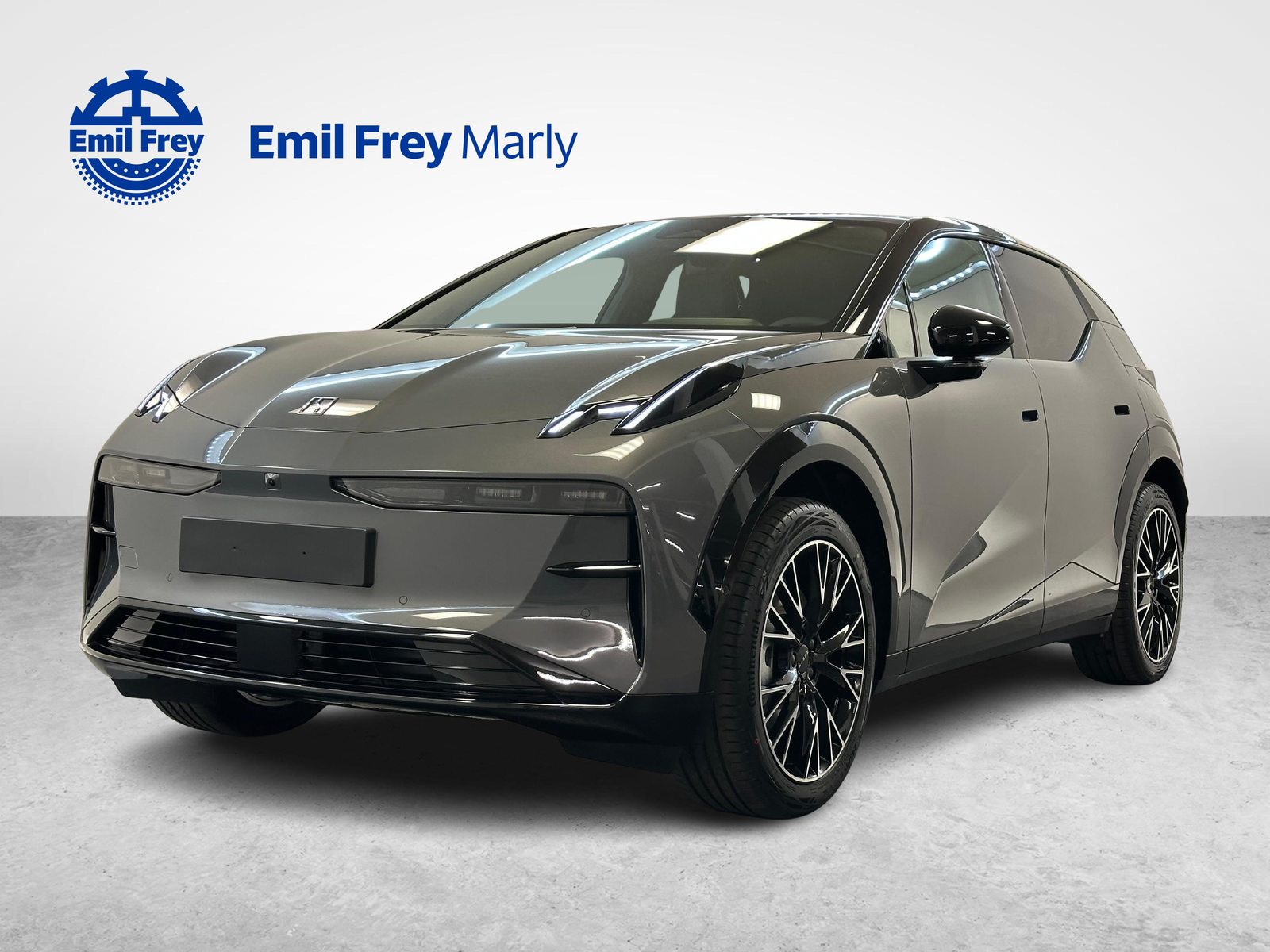 ZEEKR X Privilege AWD