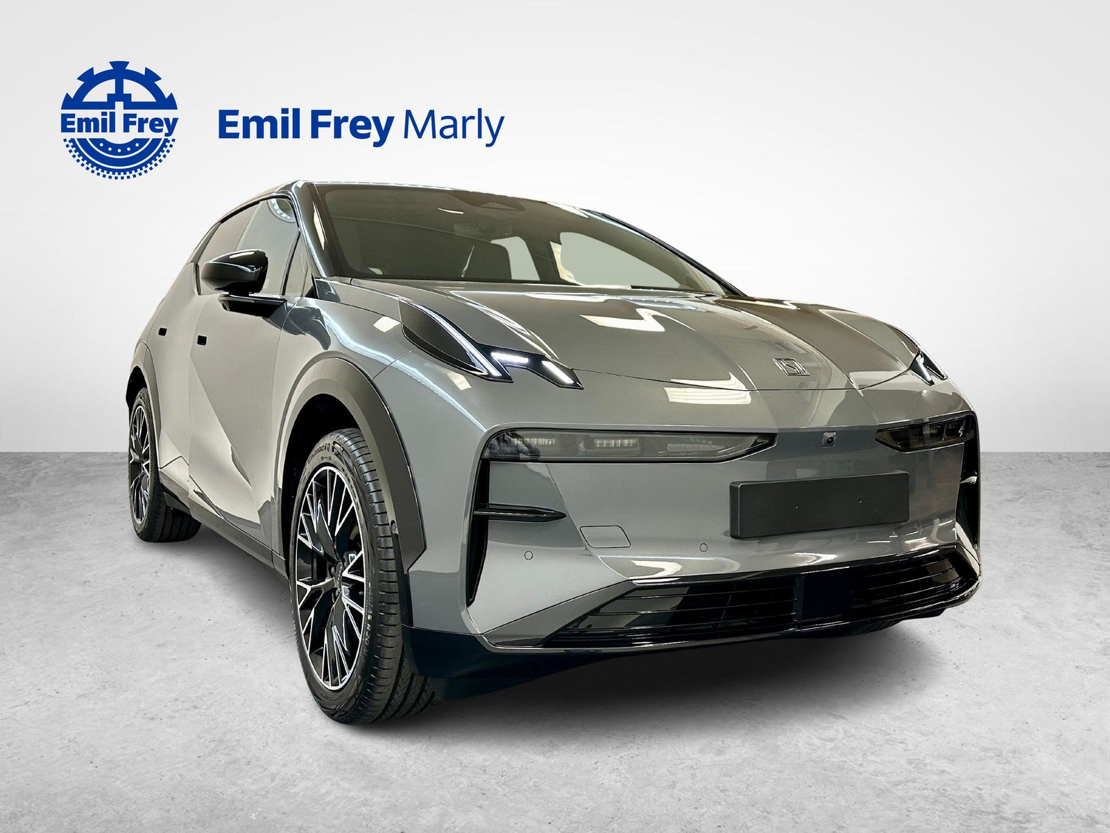 ZEEKR X Privilege AWD, Electric, New car, Automatic - 2