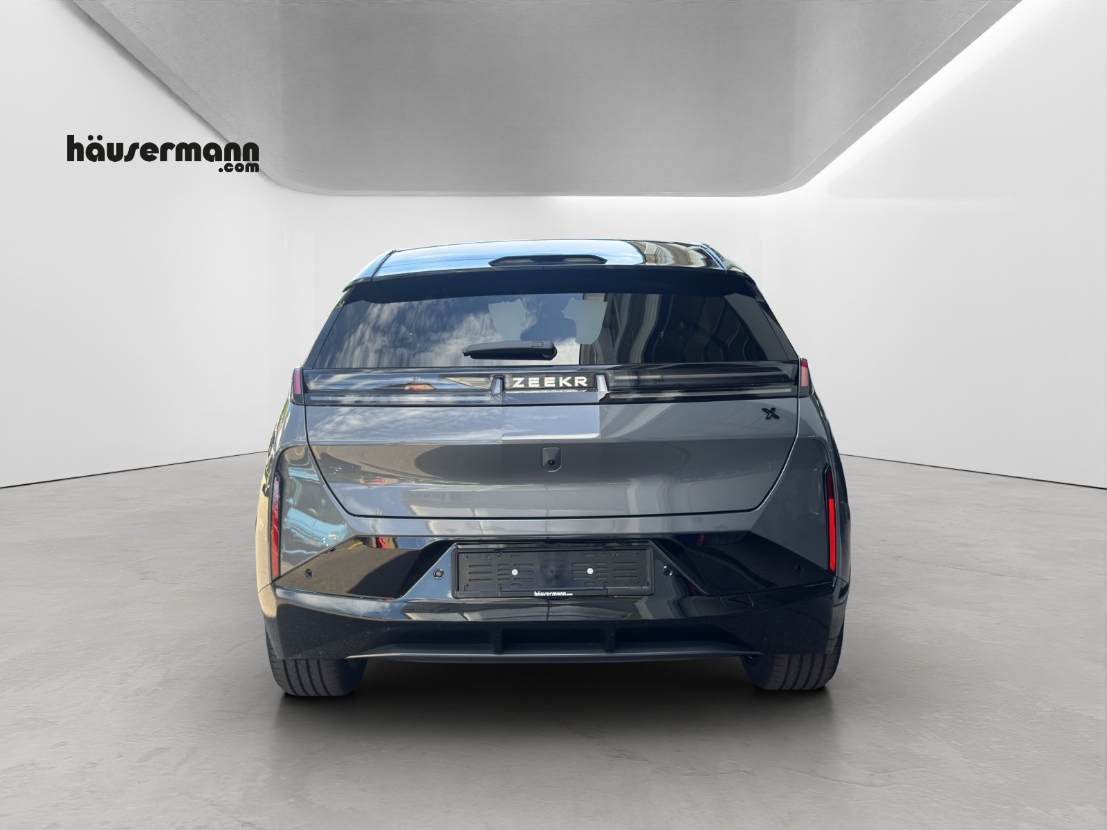 ZEEKR X Privilege AWD, Electric, New car, Automatic - 5