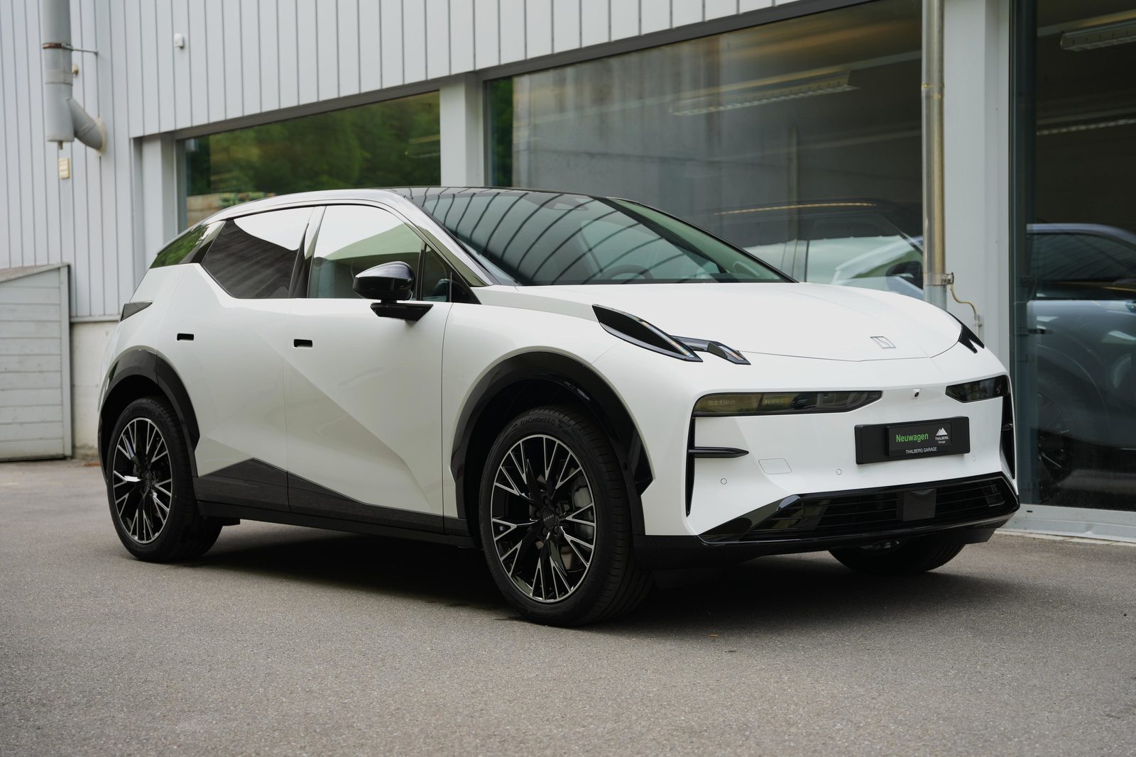 ZEEKR X Privilege AWD