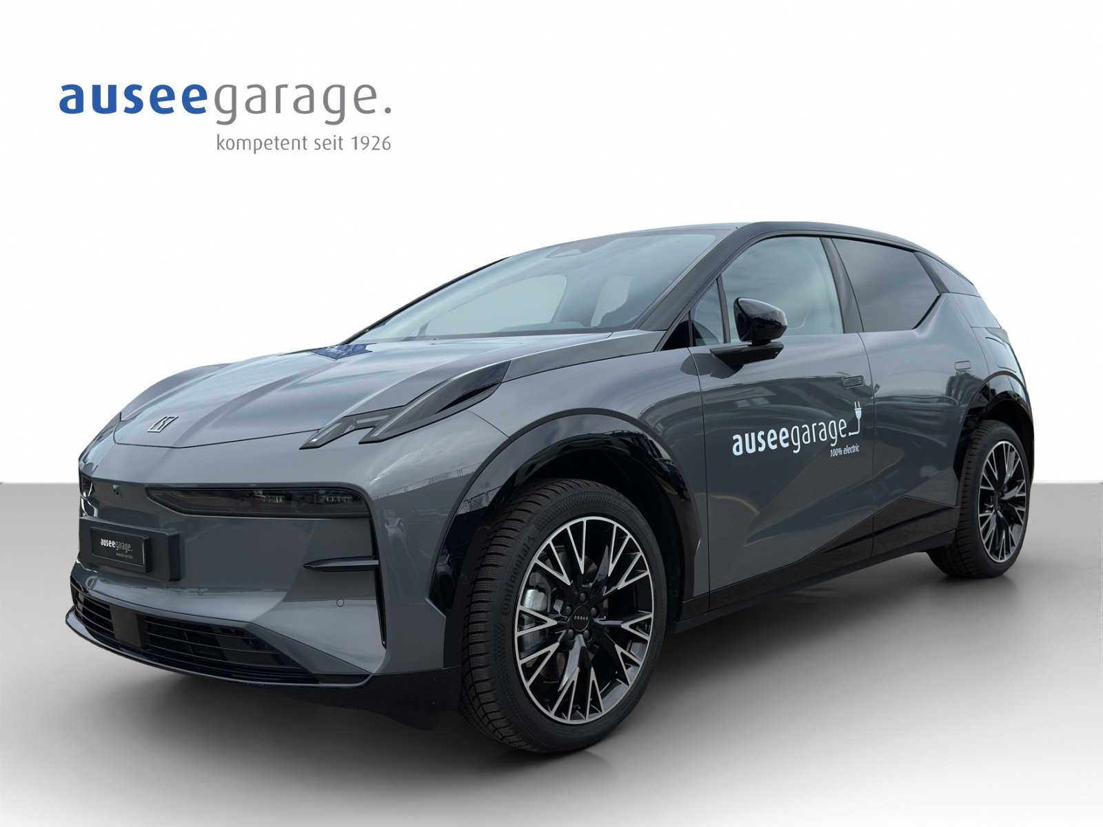 ZEEKR X Privilege AWD