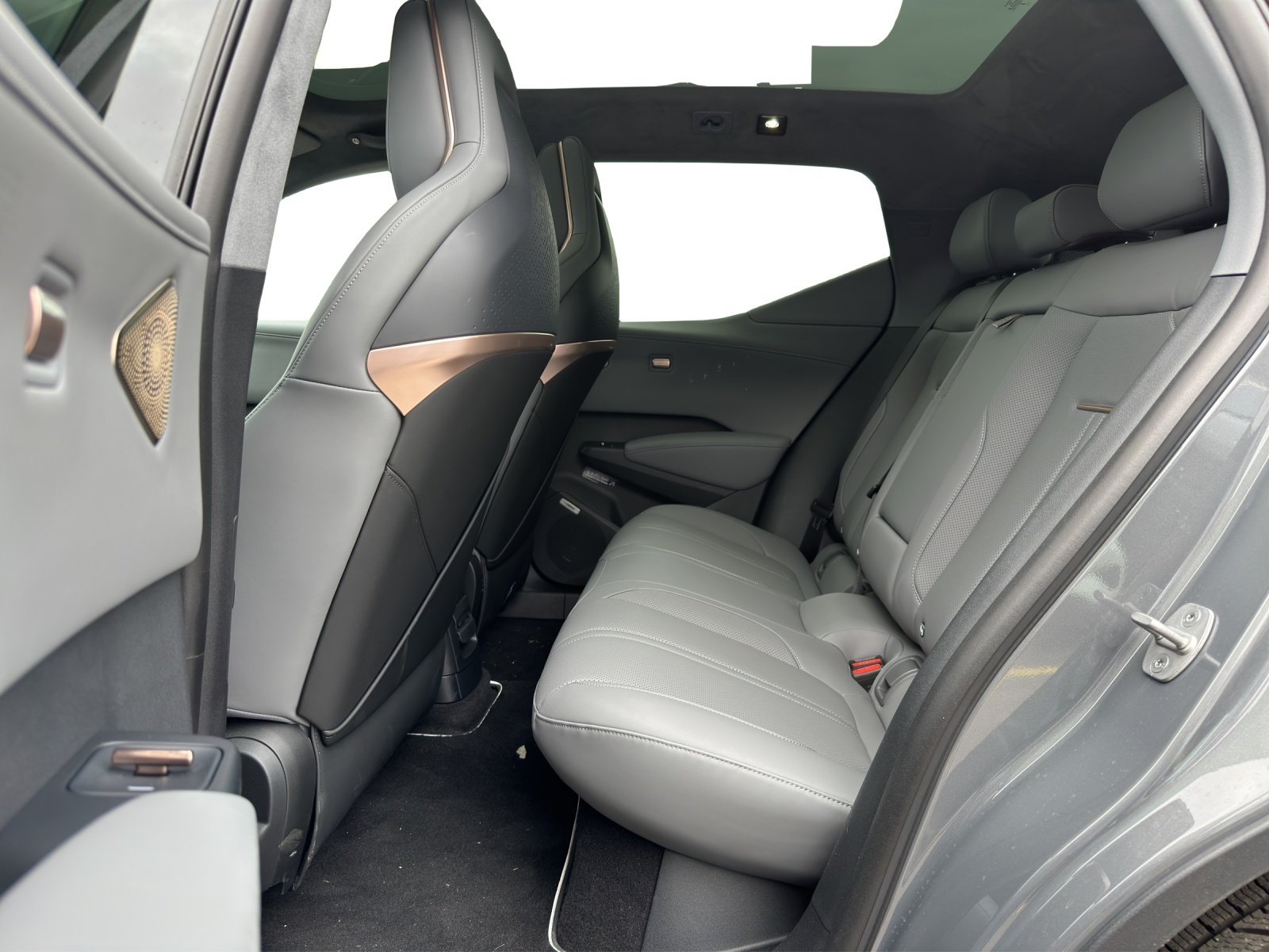 ZEEKR X Privilege AWD, Elektro, Occasion / Gebraucht, Automatik - 4