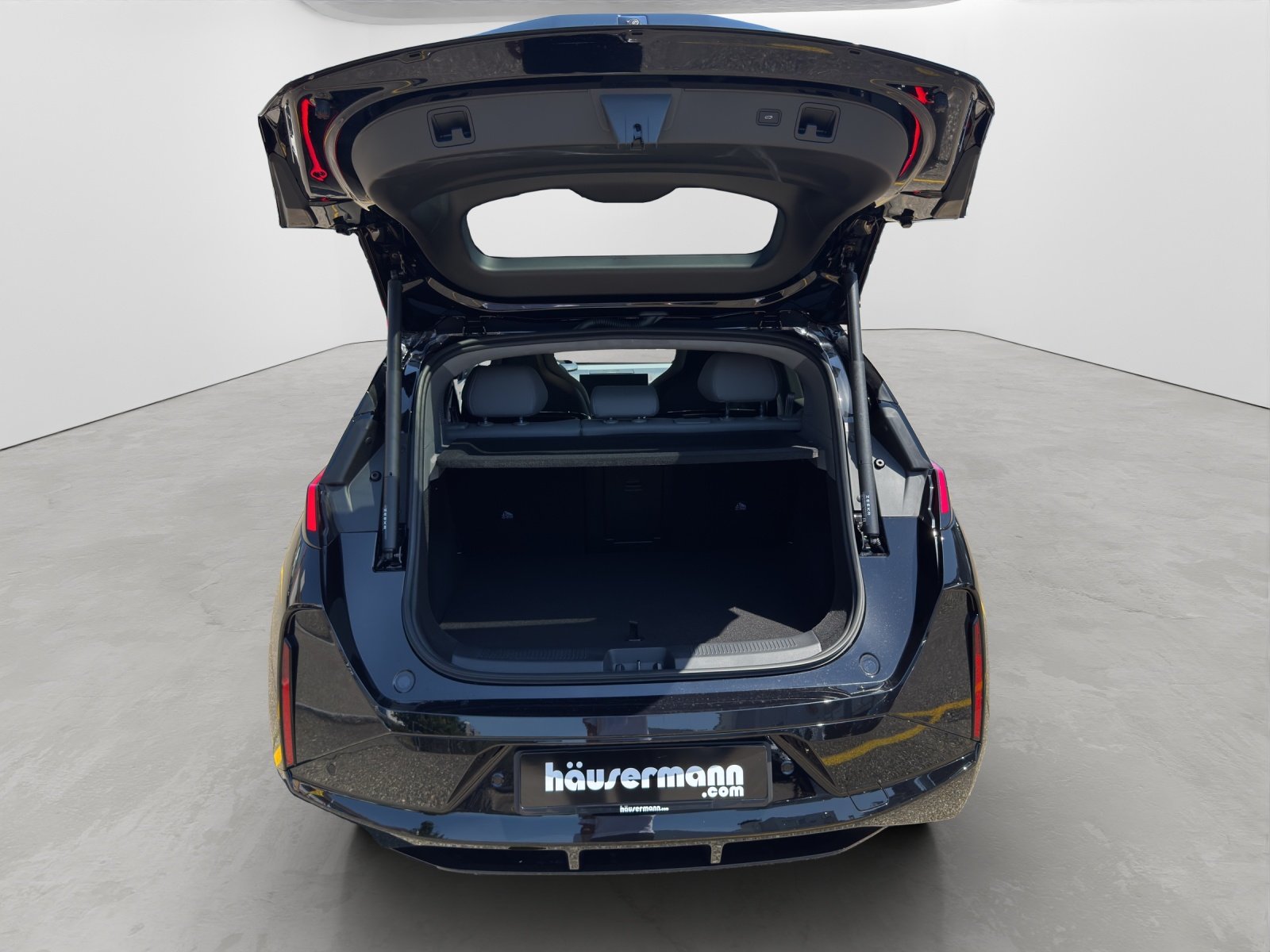 ZEEKR X Privilege AWD, Elettrica, Auto dimostrativa, Automatico - 5